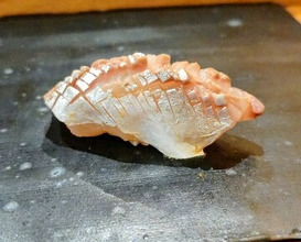 Dinner at Koban Zushi Tanagura (小判寿司 棚倉)