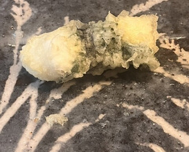 Dinner at Tempura Koizumi (天ぷら 小泉)