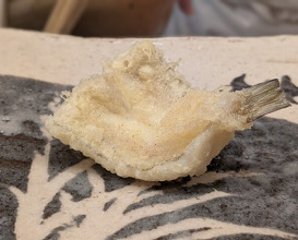 Dinner at Tempura Koizumi (天ぷら 小泉)