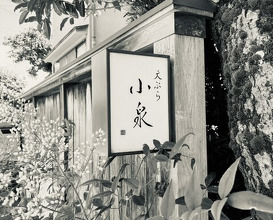 Dinner at Tempura Koizumi (天ぷら 小泉)