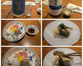 Dinner at Kojitsu (好日)