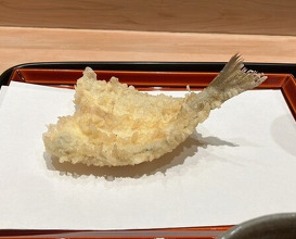 Dinner at Tempura Kondo (てんぷら 近藤)