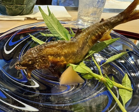 Dinner at Kurogi