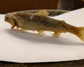 Dinner at Tempura Kuruma