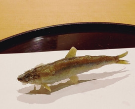 Dinner at Tempura Kyoboshi (天ぷら 京星)