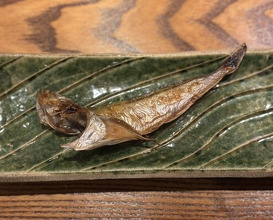 Dinner at Kyogoku Zushi (京極寿司)
