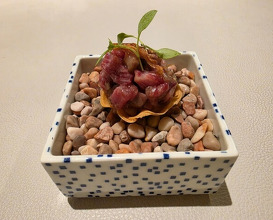 Dinner at Restaurant L’ÉTERRE