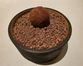 Dinner at Restaurant L’ÉTERRE