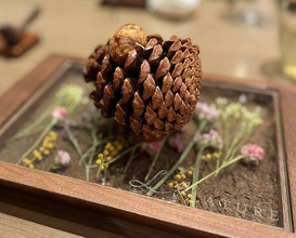Dinner at LATURE (ラチュレ)