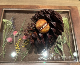 Dinner at LATURE (ラチュレ)