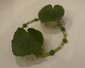 Dinner at LATURE (ラチュレ)