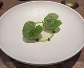 Dinner at LATURE (ラチュレ)