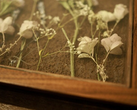Dinner at LATURE (ラチュレ)