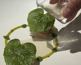 Dinner at LATURE (ラチュレ)