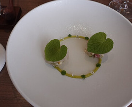 Dinner at LATURE (ラチュレ)