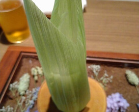 Dinner at LATURE (ラチュレ)