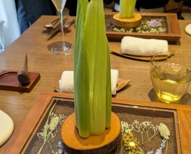 Dinner at LATURE (ラチュレ)
