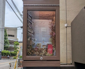 Dinner at LATURE (ラチュレ)