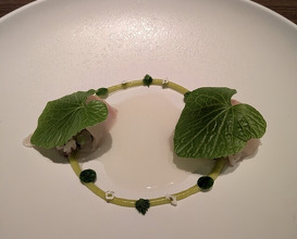 Dinner at LATURE (ラチュレ)