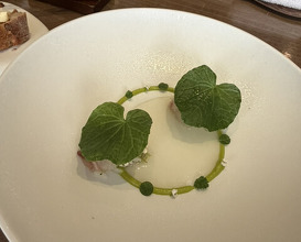 Dinner at LATURE (ラチュレ)