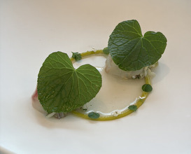 Dinner at LATURE (ラチュレ)