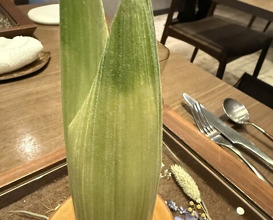 Dinner at LATURE (ラチュレ)