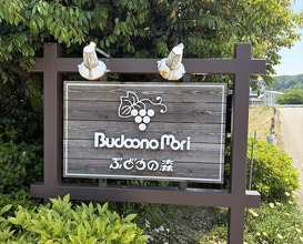 Dinner at Budoonomori Les Tonnelles (レストランぶどうの森 レ・トネル)