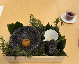 Dinner at Budoonomori Les Tonnelles (レストランぶどうの森 レ・トネル)