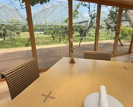 Dinner at Budoonomori Les Tonnelles (レストランぶどうの森 レ・トネル)