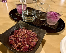 Dinner at Budoonomori Les Tonnelles (レストランぶどうの森 レ・トネル)