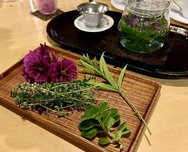 Dinner at Budoonomori Les Tonnelles (レストランぶどうの森 レ・トネル)