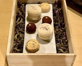 Dinner at Budoonomori Les Tonnelles (レストランぶどうの森 レ・トネル)