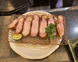 Dinner at Tonkatsu Mange (とんかつ マンジェ)