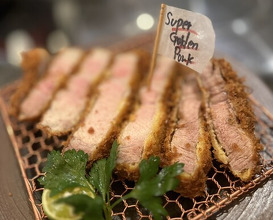 Dinner at Tonkatsu Mange (とんかつ マンジェ)