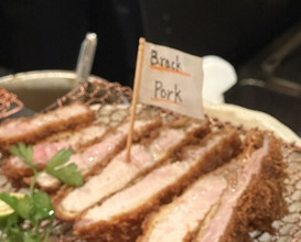Dinner at Tonkatsu Mange (とんかつ マンジェ)