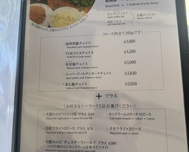Dinner at Tonkatsu Mange (とんかつ マンジェ)