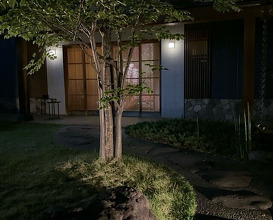 Dinner at Marushin (丸新)