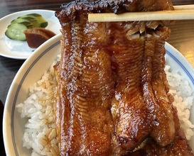 Dinner at Unagi no Matsu Ka (うなぎのまつ嘉)