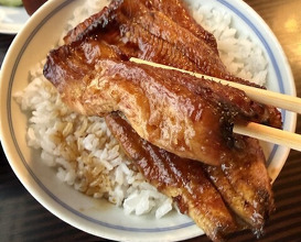 Dinner at Unagi no Matsu Ka (うなぎのまつ嘉)