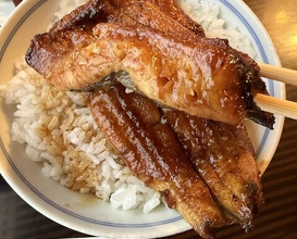 Dinner at Unagi no Matsu Ka (うなぎのまつ嘉)