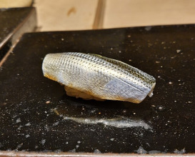 Dinner at Sushi Matsuura (鮨 まつうら)