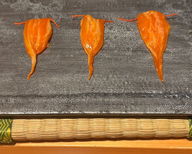 Dinner at Matsuyama