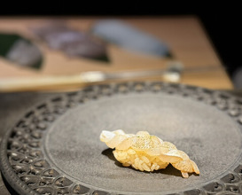 Dinner at mikami limited50 (mikami limited50)