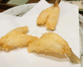 Dinner at Akita Tempura Mikawa (秋田 てんぷら みかわ)