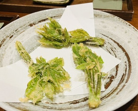 Dinner at Akita Tempura Mikawa (秋田 てんぷら みかわ)