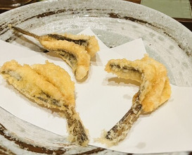 Dinner at Akita Tempura Mikawa (秋田 てんぷら みかわ)