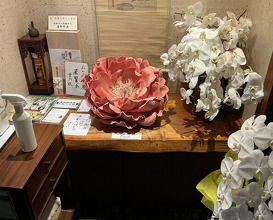 Dinner at Mikawa Zezankyo (みかわ 是山居)