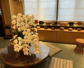 Dinner at Mikawa Zezankyo (みかわ 是山居)