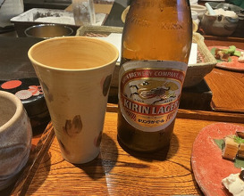 Dinner at Mikawa Zezankyo (みかわ 是山居)
