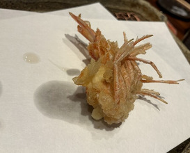 Dinner at Mikawa Zezankyo (みかわ 是山居)